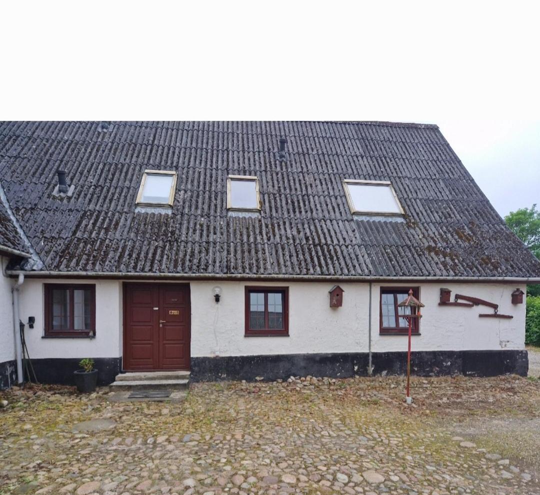 Hus Meeresbrise Arrild Zewnętrze zdjęcie